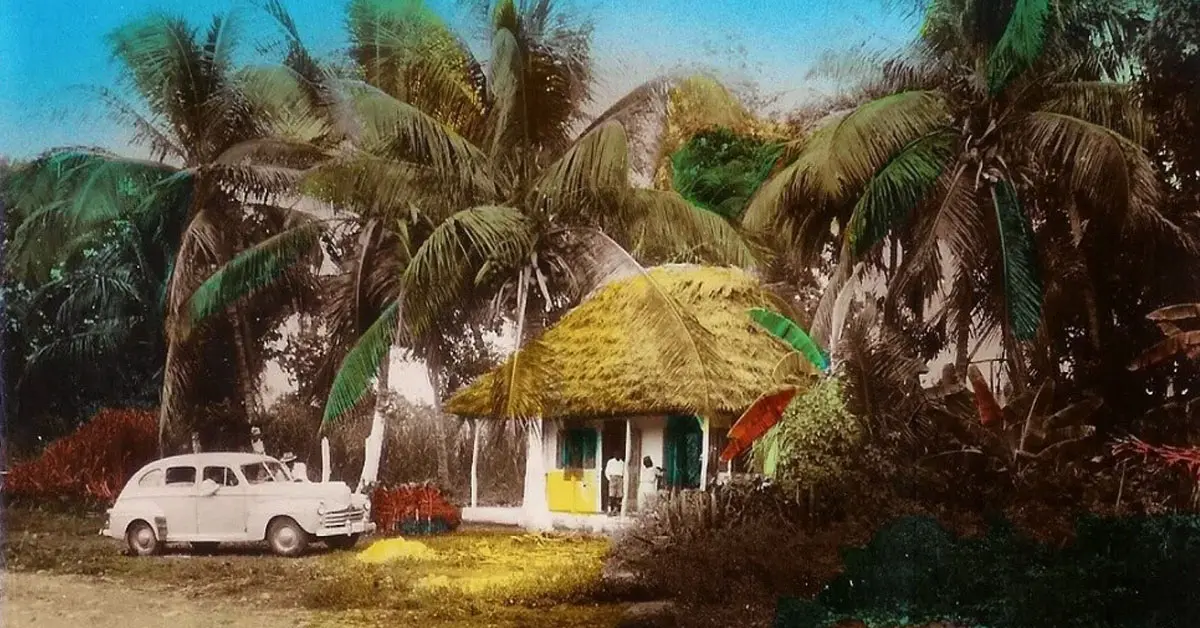 Background